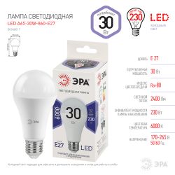 Лампа светодиодная ЭРА STD LED A65-30W-860-E27 30Вт груша холодный дневной свет Е27 | Лампы cветодиодные Груша (A)