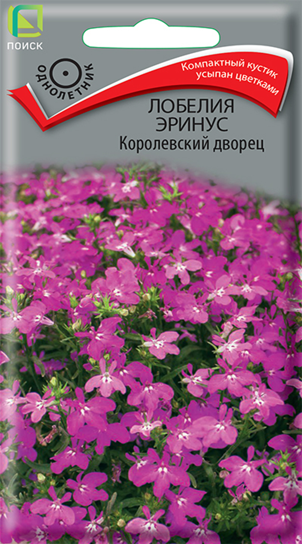 Лобелия эринус Королевский дворец