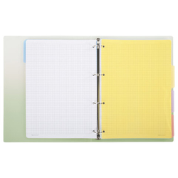 Тетрадь на кольцах БОЛЬШАЯ 305х235мм А4, 120л, пластик, с разделителями, BRAUBERG, Зеленый, 404625
