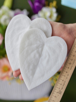 Вайнер лист Каладиума ClayCraft by DECO™