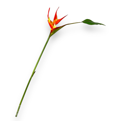 Цветок стрелиции оранжевый с листом малый