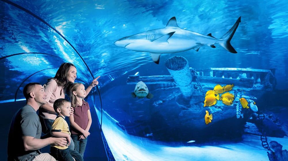Аквариум в Анталии