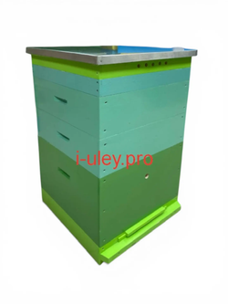 Улей 12 рамочный. 1 корп 2 маг (Дадан, Липа, крашеный) Комплект