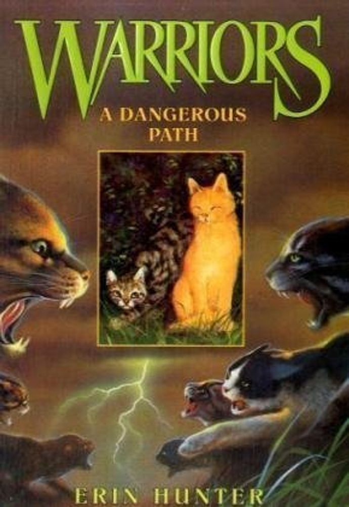 Warriors 5: Dangerous Path