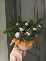 Коробка из нобилиса