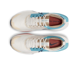 Кроссовки для бега мужские Nike Zegama Trail 2 M Кремово-Blue