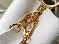 Louis Vuitton Capucines Mini