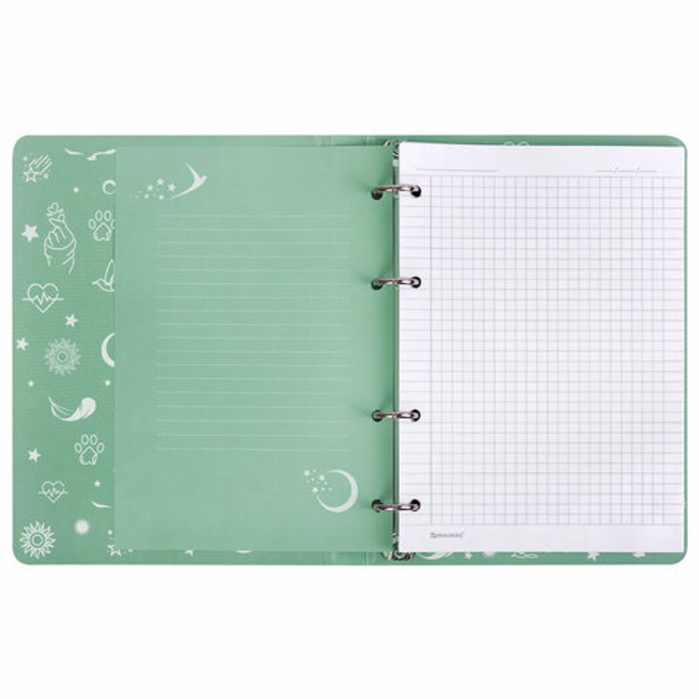 Тетрадь на кольцах А5 160х212 мм, 120 листов, картон, фольга, клетка, BRAUBERG, "Pastel", 404734