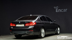 BMW 5 Series (G30) 520d Luxury Plus (10.2019)
