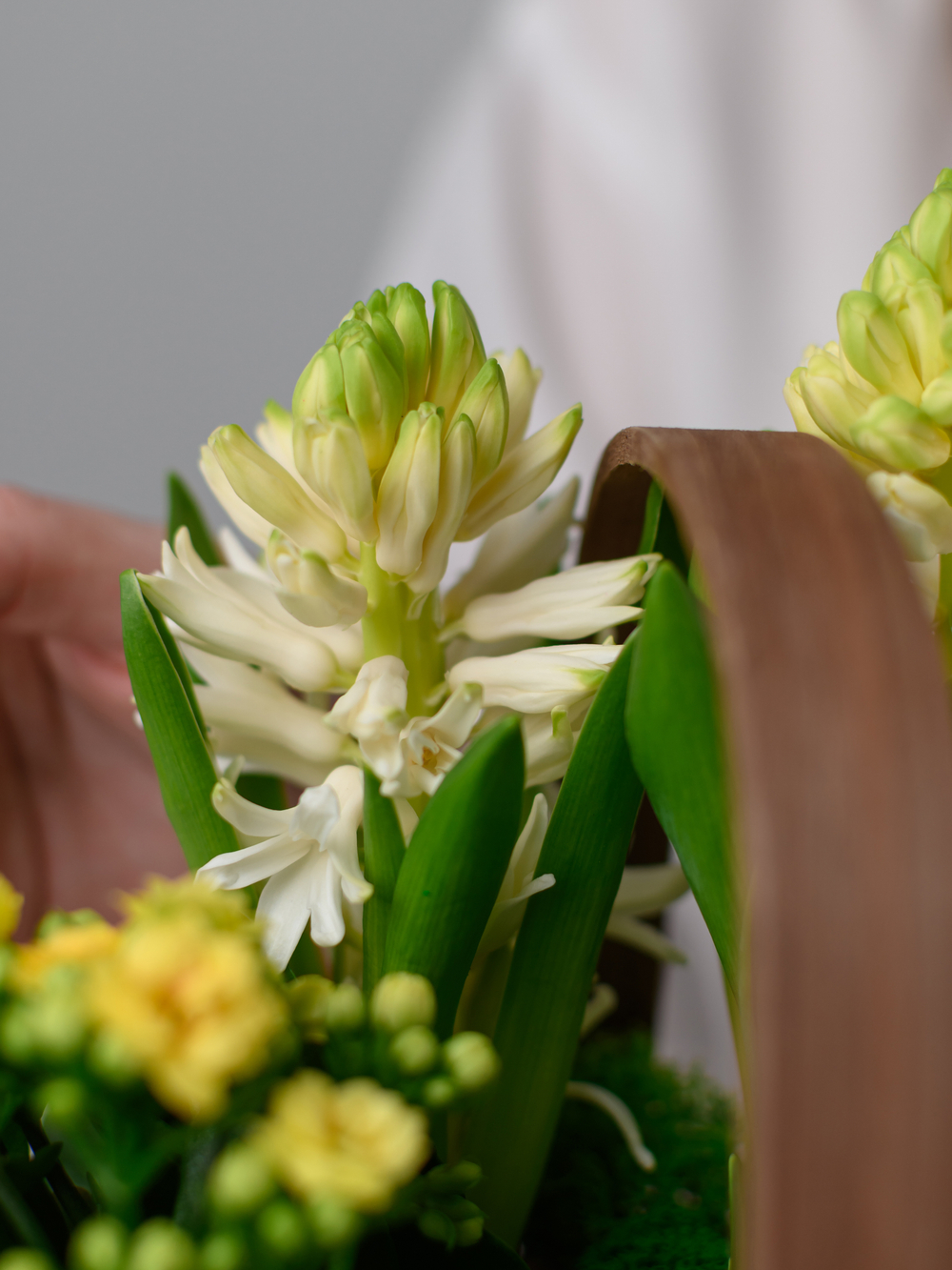 Весне дорогу!