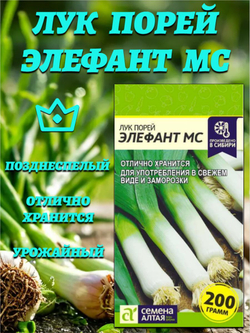 Лук Порей Элефант (1 гр). Семена Алтая