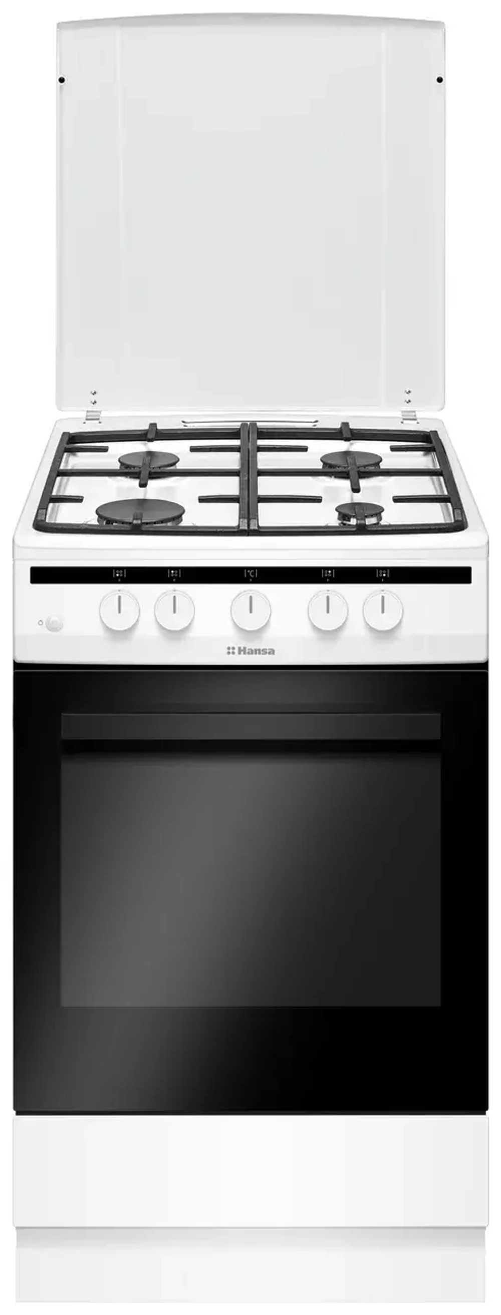 Газовая плита Hansa FCGW510977