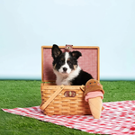 Игрушка NomNomz Мороженое ZippyPaws