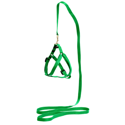 ZOONIK Шлейка быстросъемная + поводок, стропа 14 мм