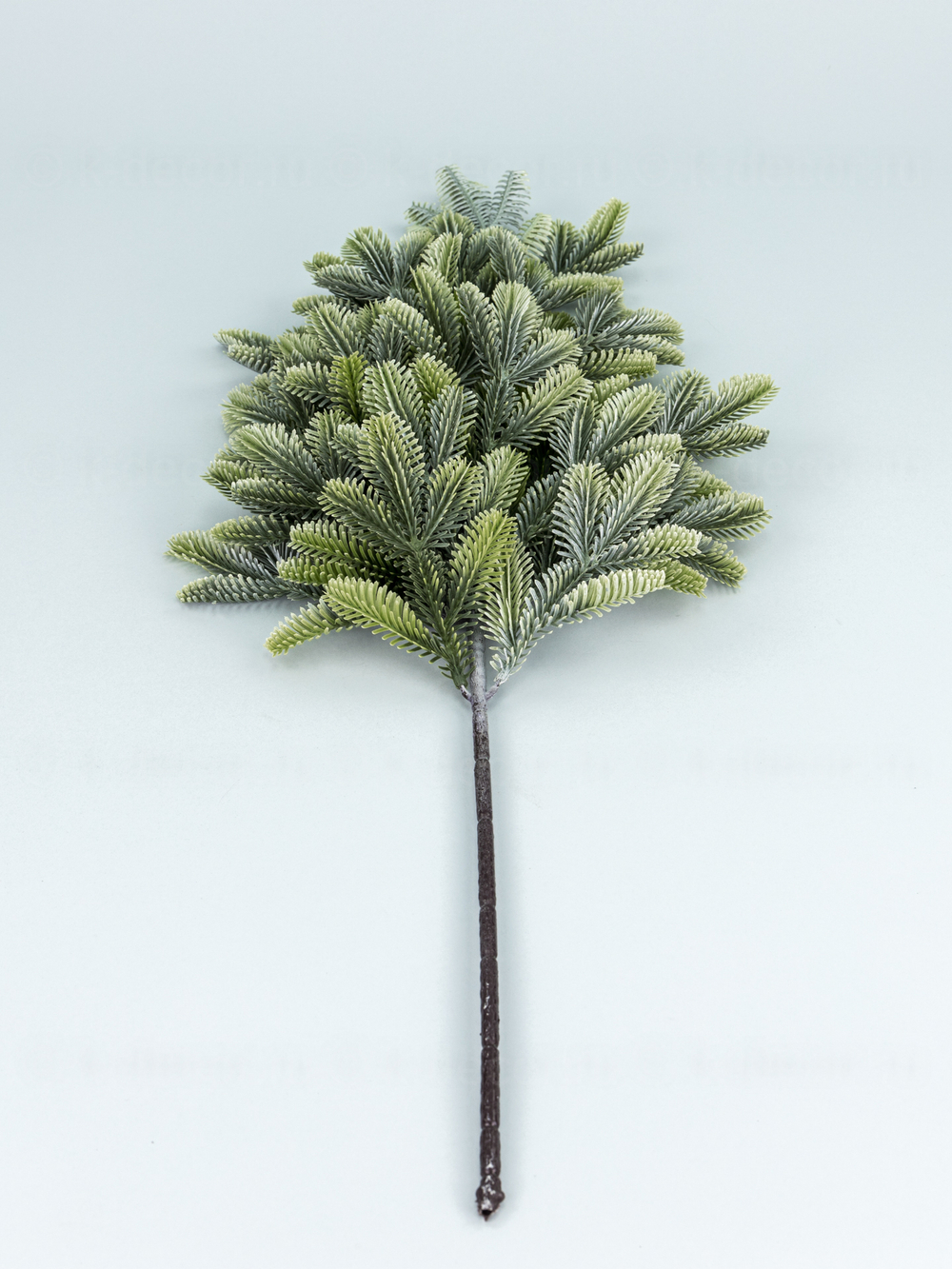 Ветка пихты