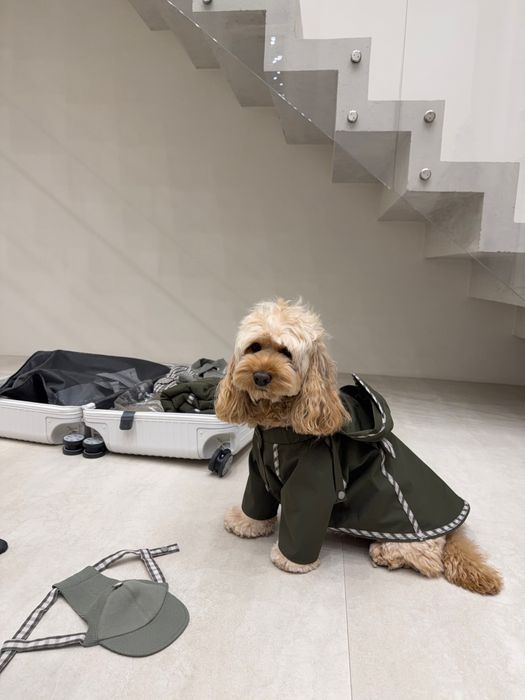 ТРЕНЧ САВЬЕ ДЛЯ СОБАК ХАКИ