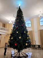 уличная елка ствольная "Альпийская"