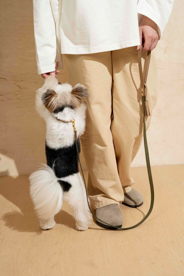 Поводок "Пони-гулёни" Зеленый и бежевый