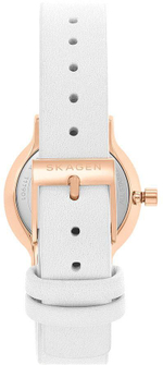 Женские наручные часы Skagen SKW3029
