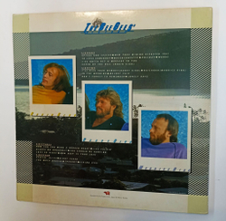 Винтажная виниловая пластинка LP Сборник Bee Gees History 2LP (Japan 1982)