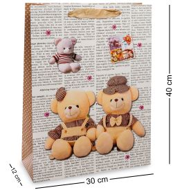 Z-21-3 Пакет большой