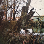 Black Sabbath / Black Sabbath (LP)