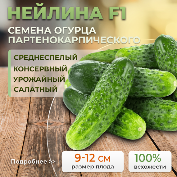 НЕЙЛИНА F1 семена огурца (Nunhems | Alexagro)