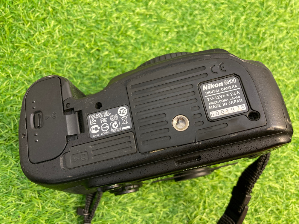 Nikon D800 (12.100 кадров)