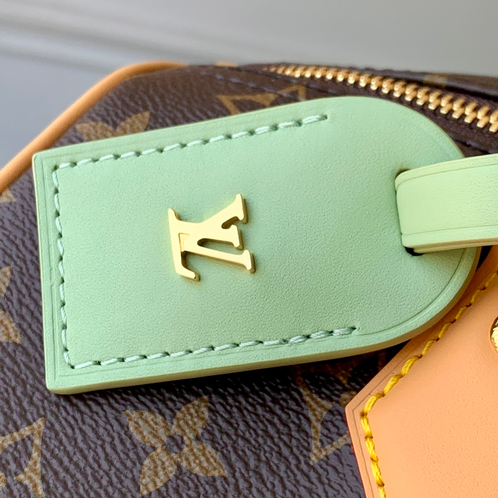 Louis Vuitton Speedy Soft 30