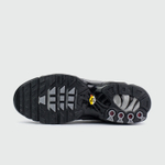 Кроссовки Nike Air Max Plus Tn Black Grey / Silver Blue