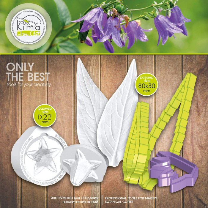 Колокольчик лесной