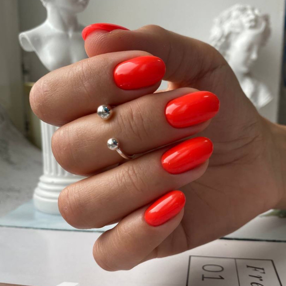 Monami Гель-лак №241