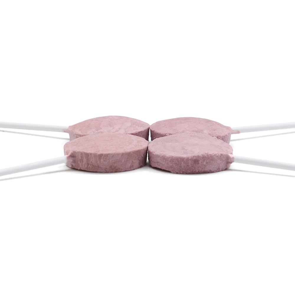 Лакомство Ranova для кошек CN сублимированное на палочке с черникой, 1,4 г х 10 шт