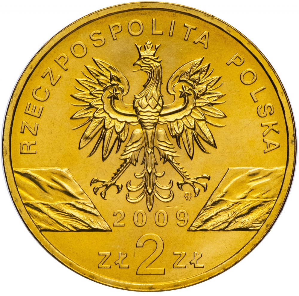 2 злотых Зелёная ящерица (животный мир) 2009 год, Польша. UNC