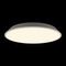 Потолочный светодиодный светильник Loft IT Brim 10226 White