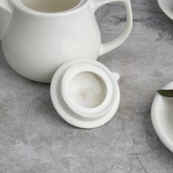 Чайник 450 мл d 10,1 см h11 см с фильтром белый фарфор P.L. Proff Cuisine [1]