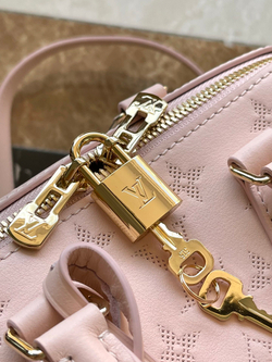 Louis Vuitton Speedy 20