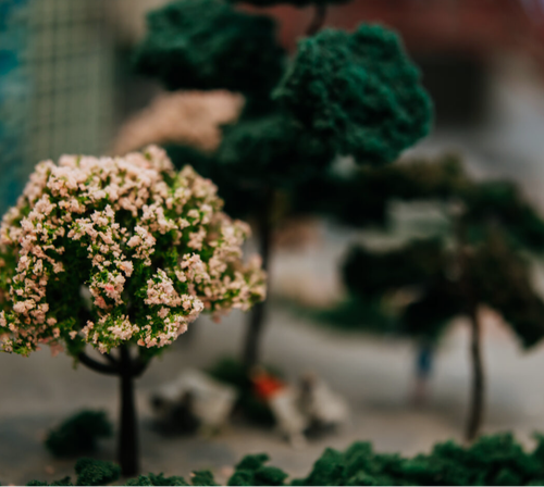 Ландшафтный дизайн