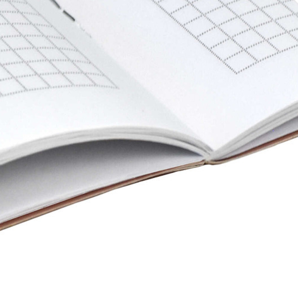 Тетрадь 32 л. евроклетка ФЕНИКС Путешествие (71695)