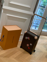Louis Vuitton Horizon 55 Suitcase