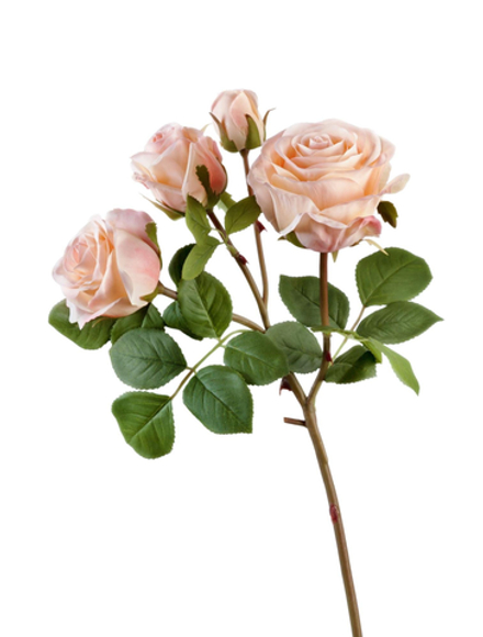 Роза Флорибунда ветвь св.розовая, в-60 см