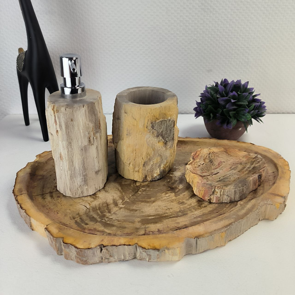 Набор из окаменелого дерева 4 предм Fossil Set NF-63062 поднос 29см*43см