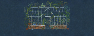 Дизайнерские обои Factura ORANGERI