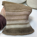 MOIRA - Di. Ve S.p.A.; 53% меринос extra fine, 47% п/а; 350м/100гр; col. 080135, цвет: коричневый, бежевый, темно-коричневый; S501