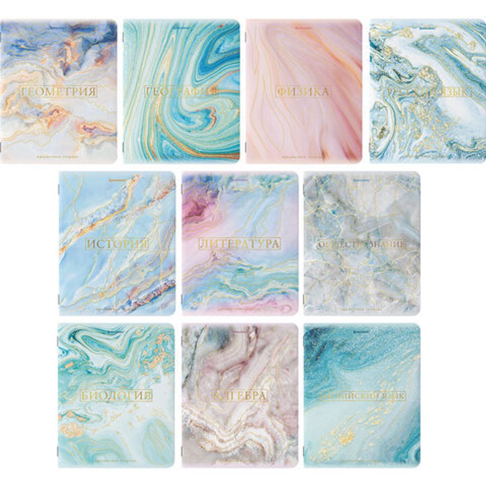 Тетради предметные, КОМПЛЕКТ 10 ПРЕДМЕТОВ, "PASTEL", 48 л., SoftTouch, фольга, 70 г/м2, BRAUBERG, 404031