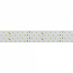 Лента светодиодная Arlight RT открытая 019087(2)