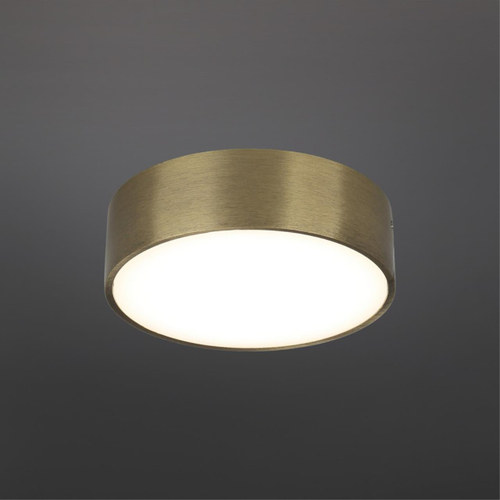 Потолочный светодиодный светильник Aployt Evon APL.0114.29.12