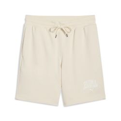 Мужские шорты PUMA CLASS Shorts