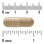Swanson Vitamins, Иссоп, 450 мг, 100 капсул