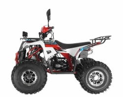 Квадроцикл Wels Thunder EVO X